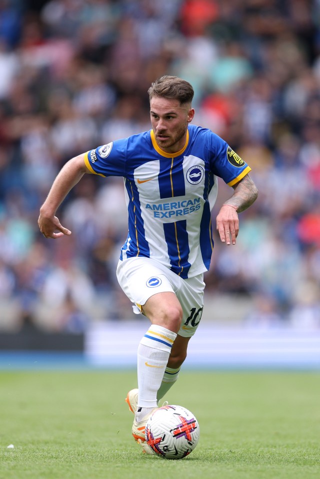 Alexis Mac Allister has had an exceptional season for Brighton and Argentina