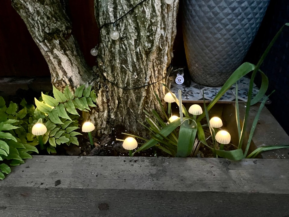 Mushroom string lights