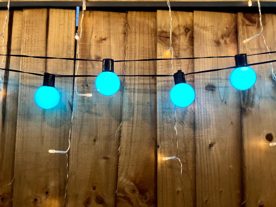 SolarCentre Smart Festoon Lights