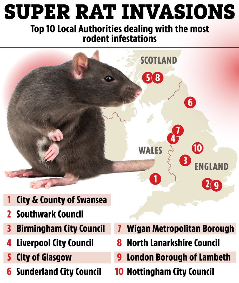 These are the UK's top ten worst cities for rat invasions