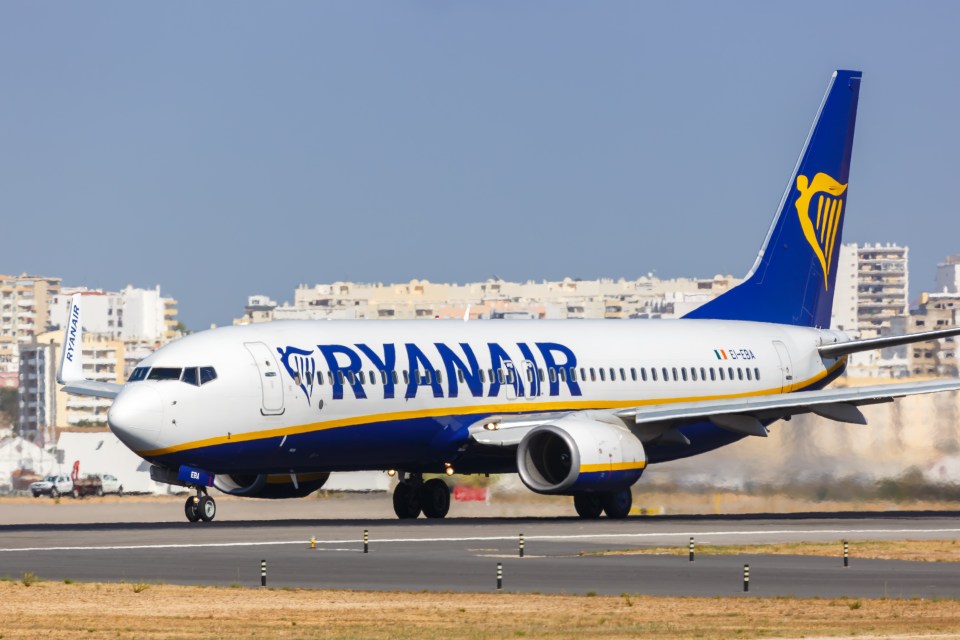 The hack could save you some money on your Ryanair flights