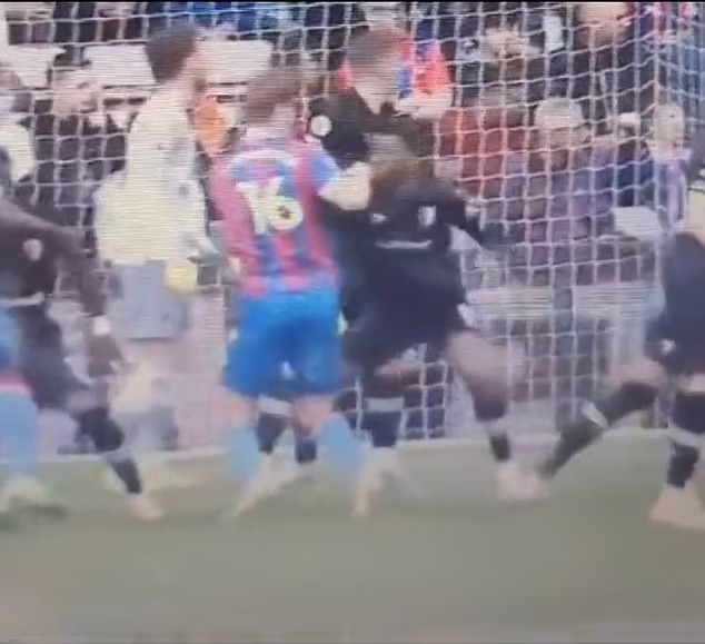 Andersen appeared to have punched Lerma during a their Premier League clash