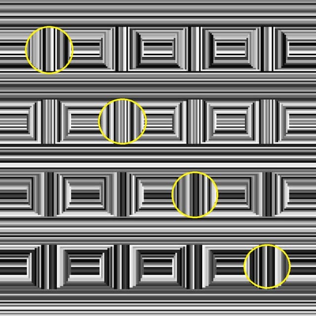 There are four circles in each row in this optical illusion