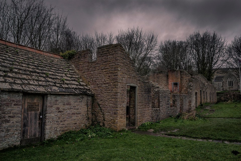 ‘Haunted’ houses typically have a certain fungi friend in common