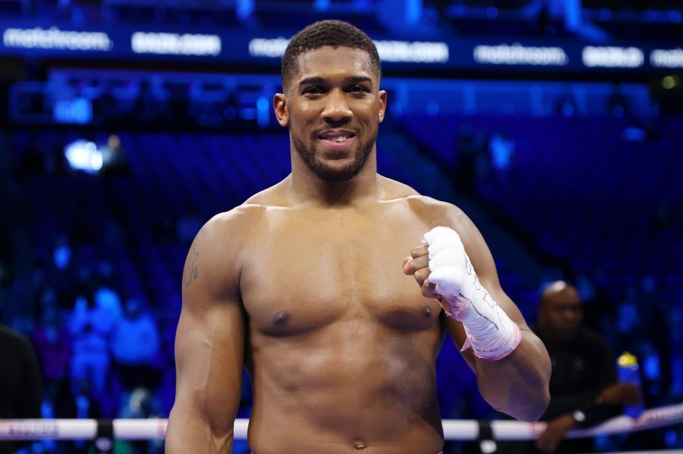 Anthony Joshua, 33, sits joint 13th with Harry Styles on the rich list with a £150million fortune