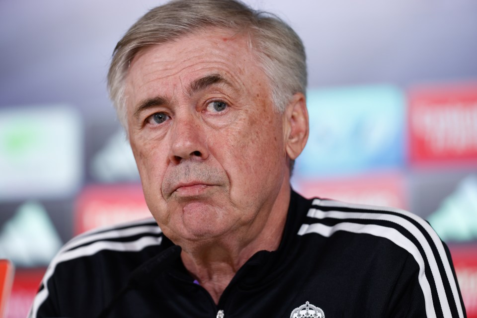 Carlo Ancelotti has reportedly made Kane his No1 transfer target