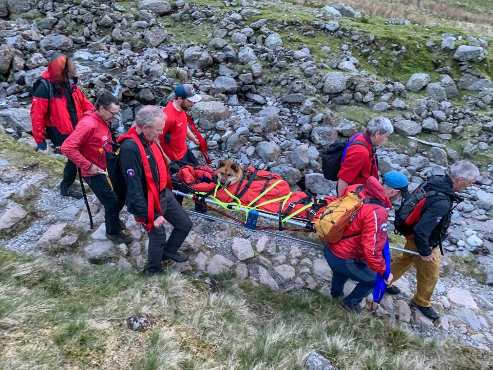 Keswick Mountain Rescue Team were called by Rocky's owners after climbing the 3,209ft peak on Saturday