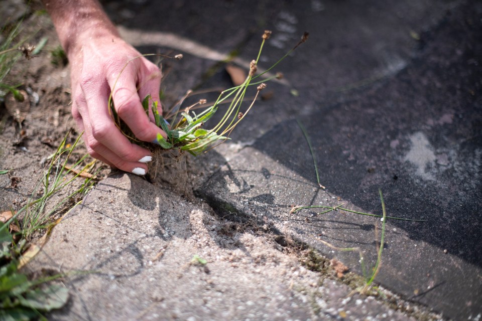 Mrs Hinch fans have shared the £1 miracle product they swear by for killing weeds