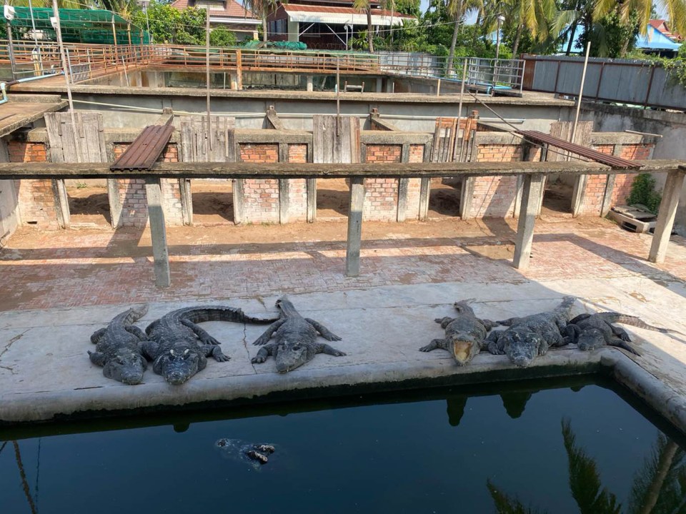 The man owned a reptile farm in Siem Reap, northern Cambodia