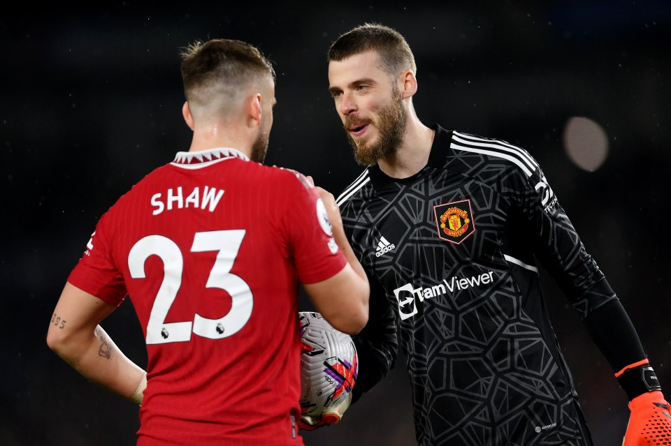 David De Gea and Luke Shaw thought they were on course to shut Brighton out, only for the converted centre-back to blunder with a last-gasp handball