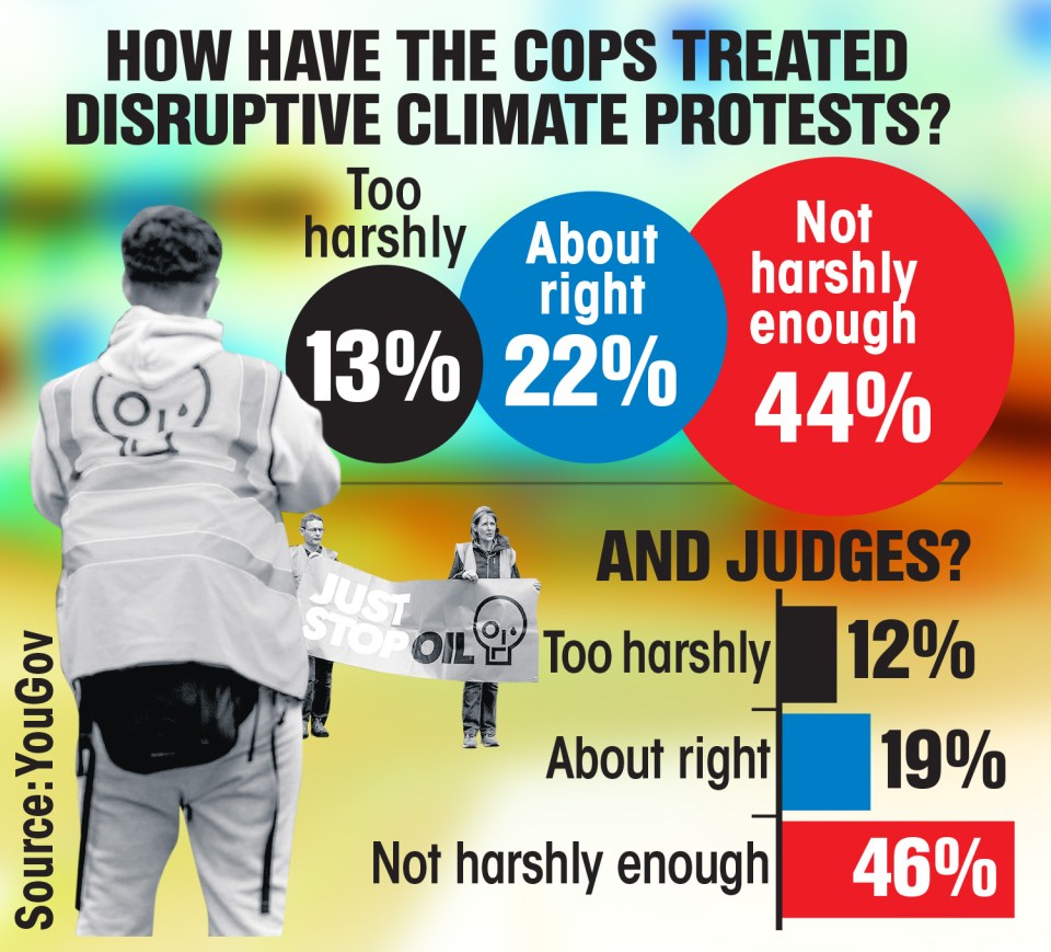 46% want tougher sentences to be handed down to disruptive eco-protesters