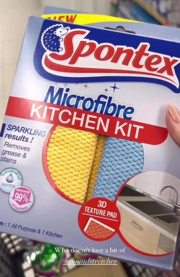 The cleaning guru picks up a £3 Spontex Microfibre kitchen kit