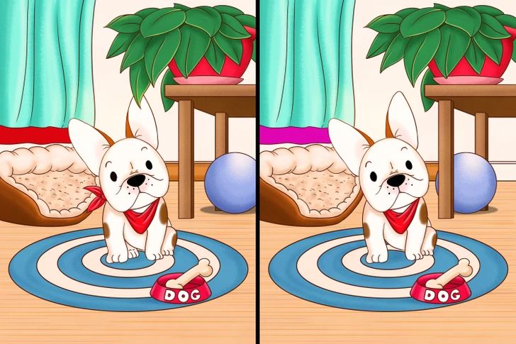 Spot the five differences in these two cartoons