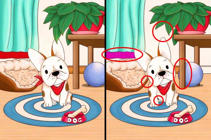 Circled in red are the five differences