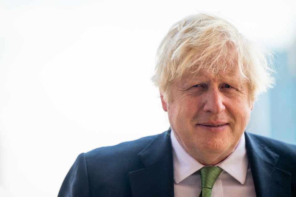 The Cabinet Office is locked in a dispute with the Covid inquiry over whether it should have to hand over thousands of WhatsApps sent between Boris Johnson, ministers and civil servants