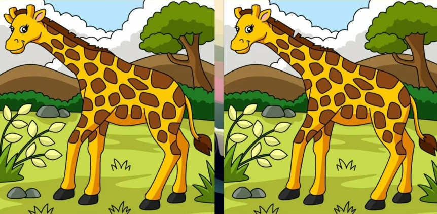 Can you spot the hidden differences?