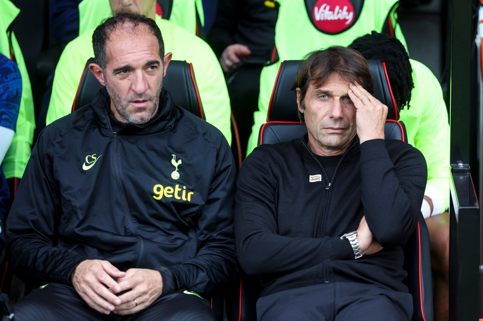 Antonio Conte, right, and assistant Cristian Stellini, left have both been axed from the post this season