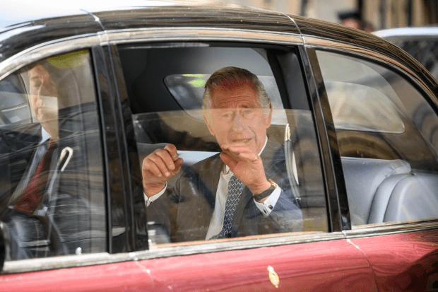 Charles waved at fans after a coronation rehearsal