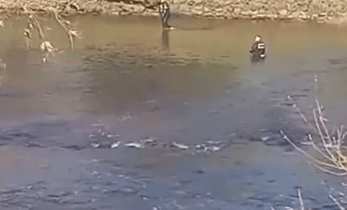 Cops had returned to the river last month to try and figure out her cause of death