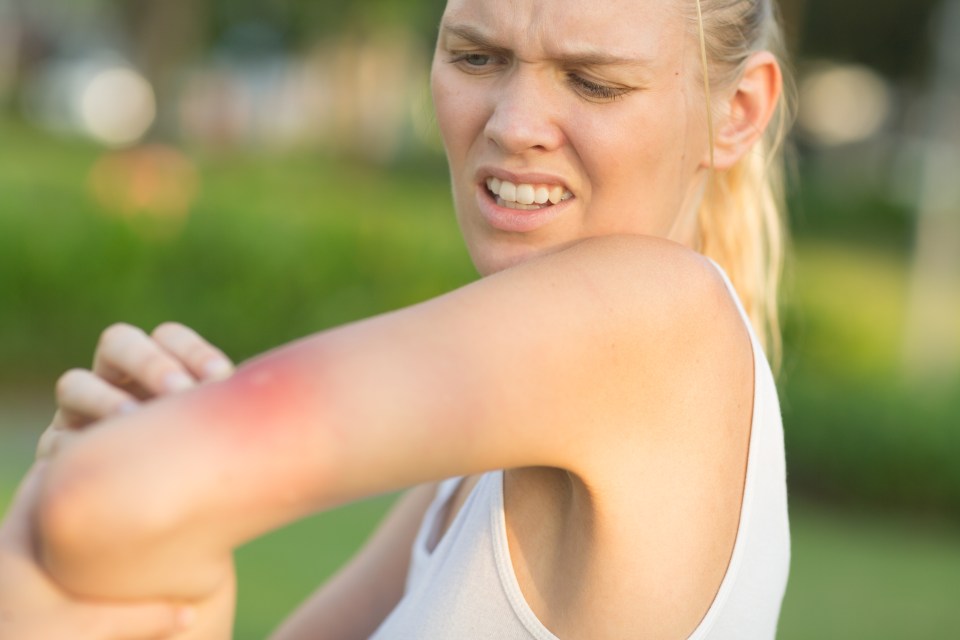 One mum wanted to avoid getting bitten by the bloodthirsty pests