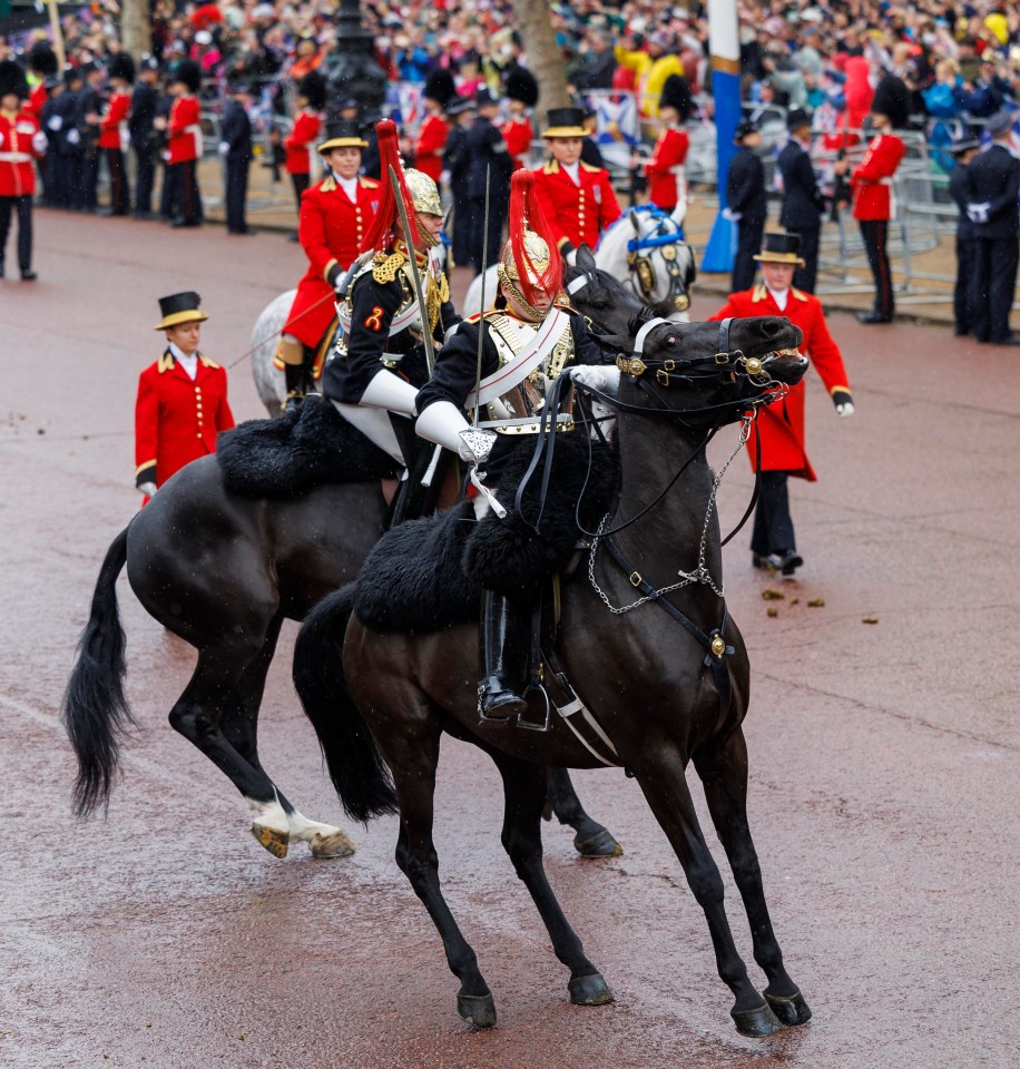 Royal fans commented on the amount of poo left by horses during the coronation procession