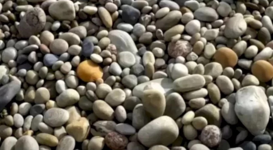 Can you find the crab perched in the collection of pebbles?