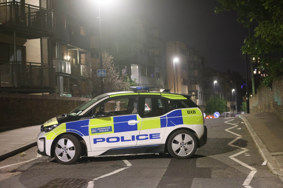 Police raced to a residential London address last night after two men were shot