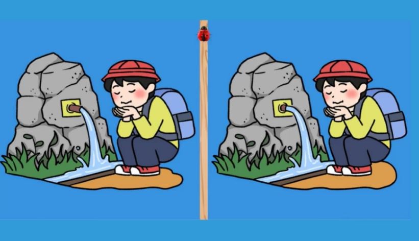 You have just 10 seconds to spot the three differences in these images