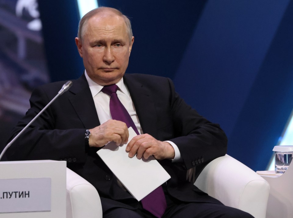 Russian dictator Vladimir Putin has suffered a number of setbacks in the Black Sea region since invading Ukraine