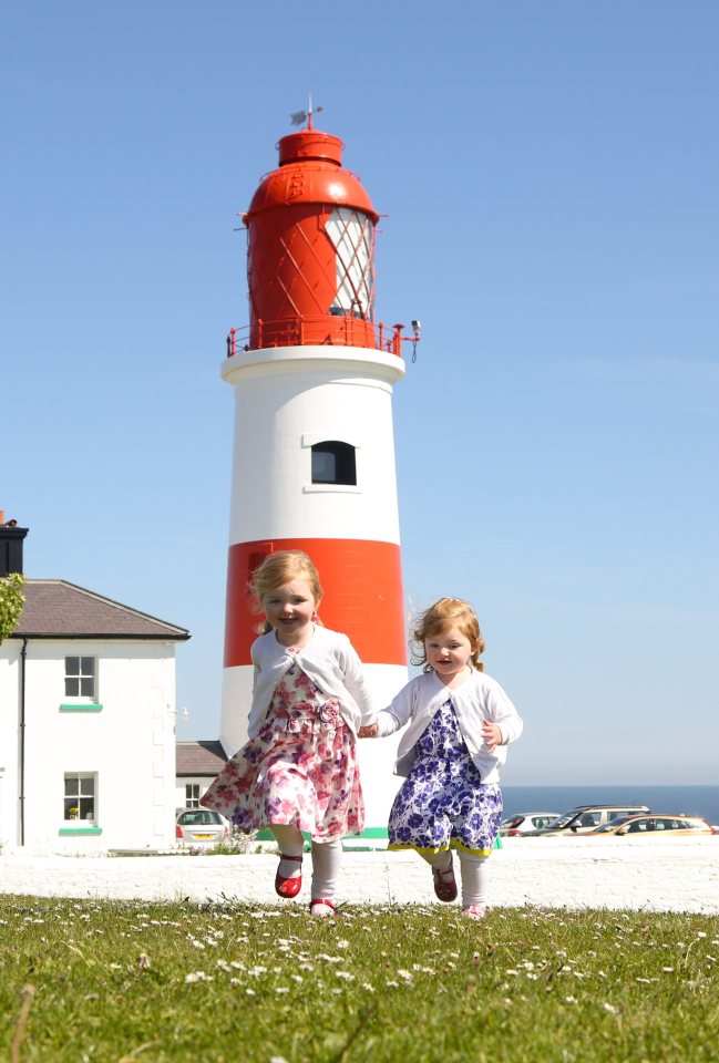 Souter lighthouse is host to a variety of birdlife