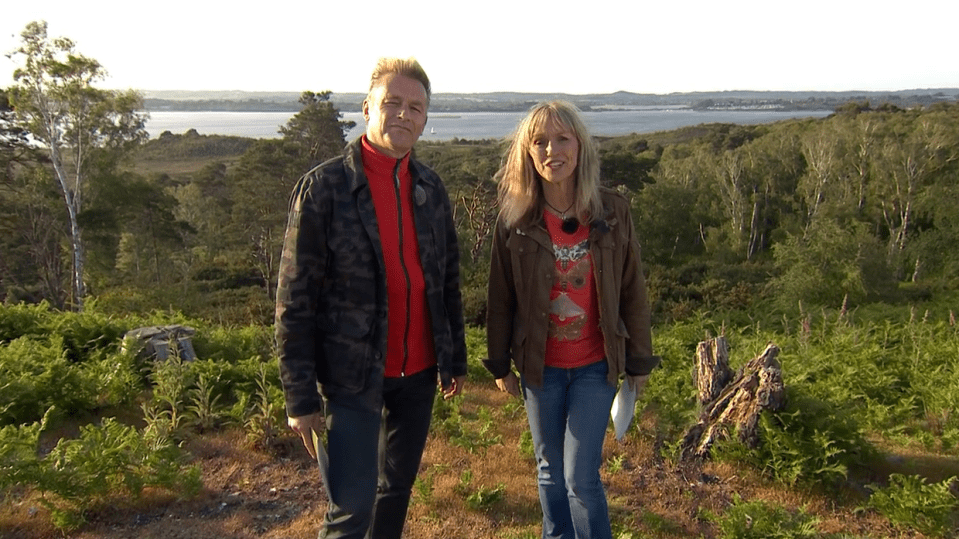 One viewer said: "Has Chris dressed like a dartford warbler tonight? #Springwatch"