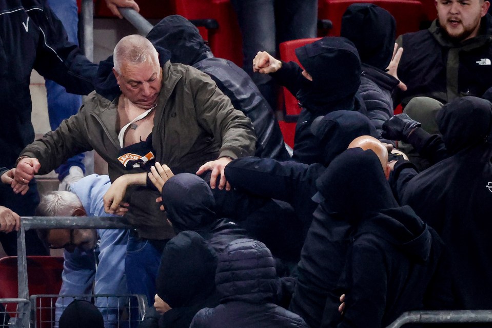 One fan, pictured in the green jacket, was hailed for his bravery