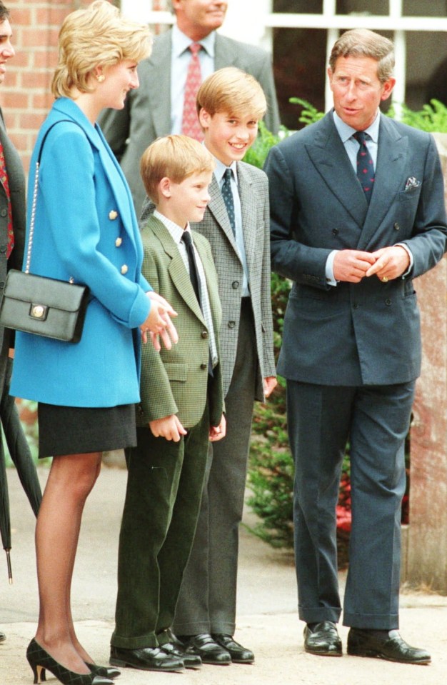 Prince Harry suggested his phone was hacked to reveal details of his mother Princess Diana's feelings on his 12th birthday. But he didn't have one then. Pictured in 1995