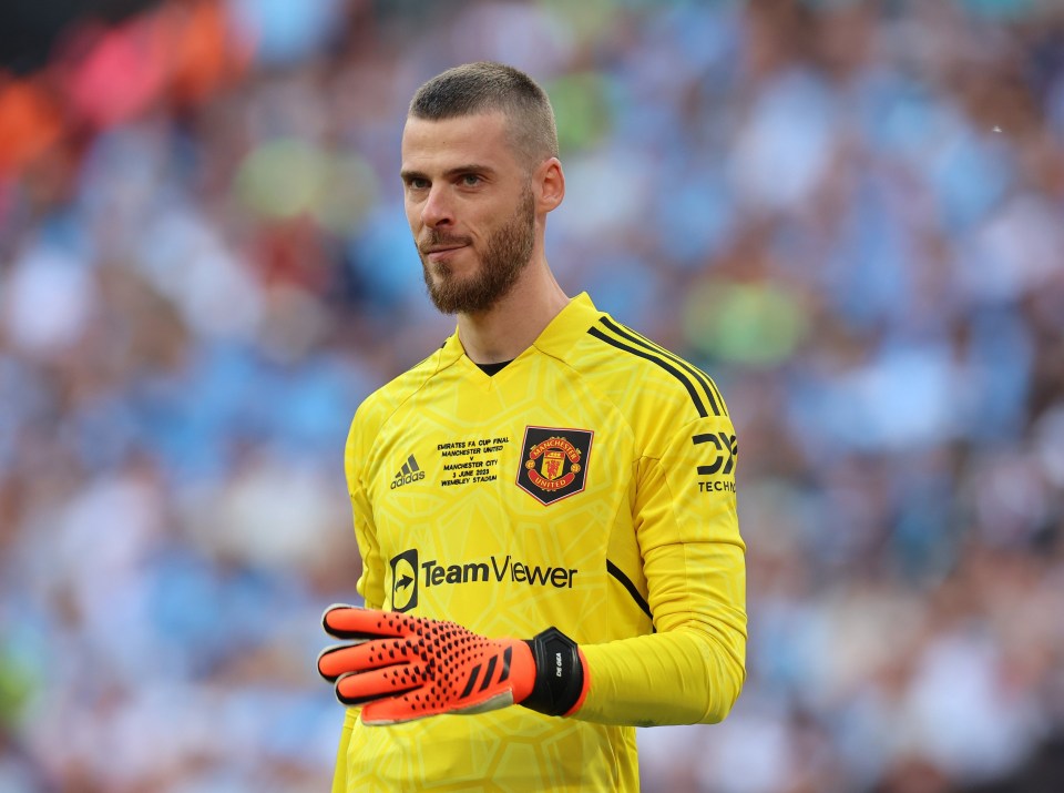 David de Gea has shared a cryptic tweet amid his contract saga