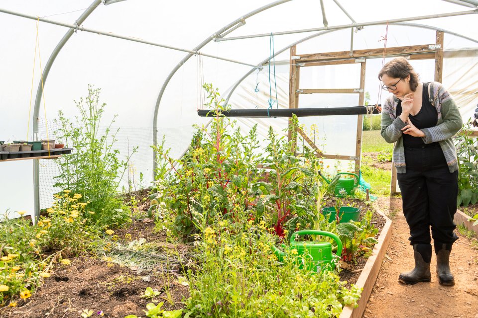 The community grow their own vegetables and share the harvest with each other