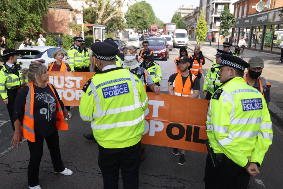 The protestors also took to the streets in Ealing, West London