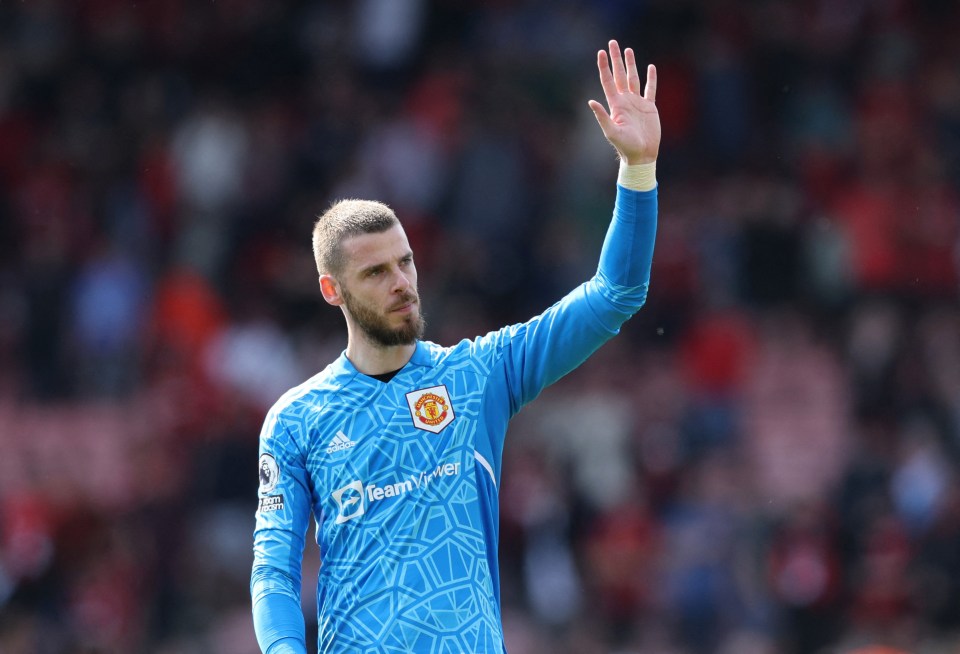 David De Gea struggled for form last season and could depart the club on a free