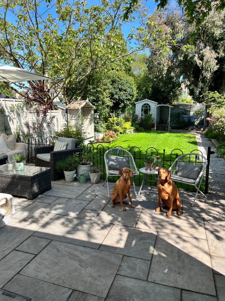 Their two dogs enjoying the patio