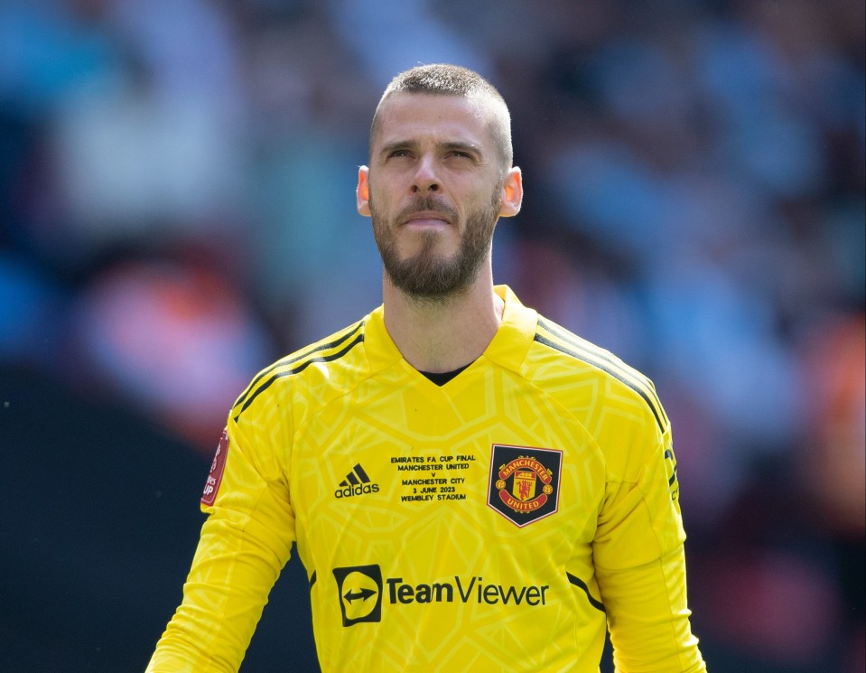 David de Gea has verbally agreed a deal but not yet put pen to paper