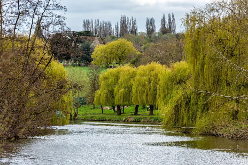 Children have suffered a sickness outbreak after swimming in the River Medway near Maidstone in Kent