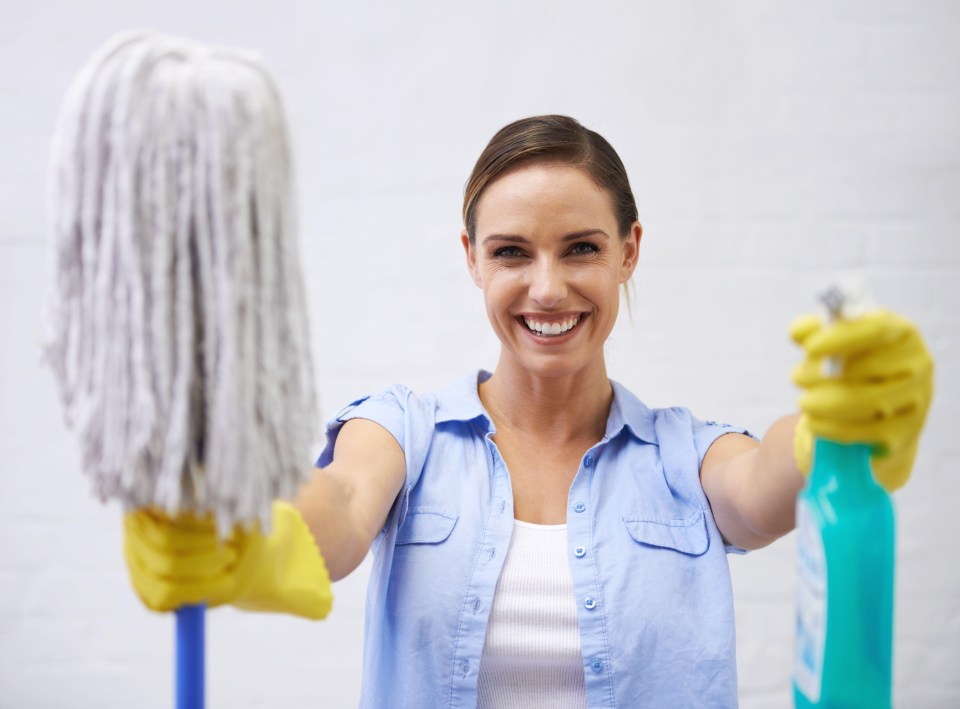 Experts have warned about cleaning your walls with a mop (stock image)