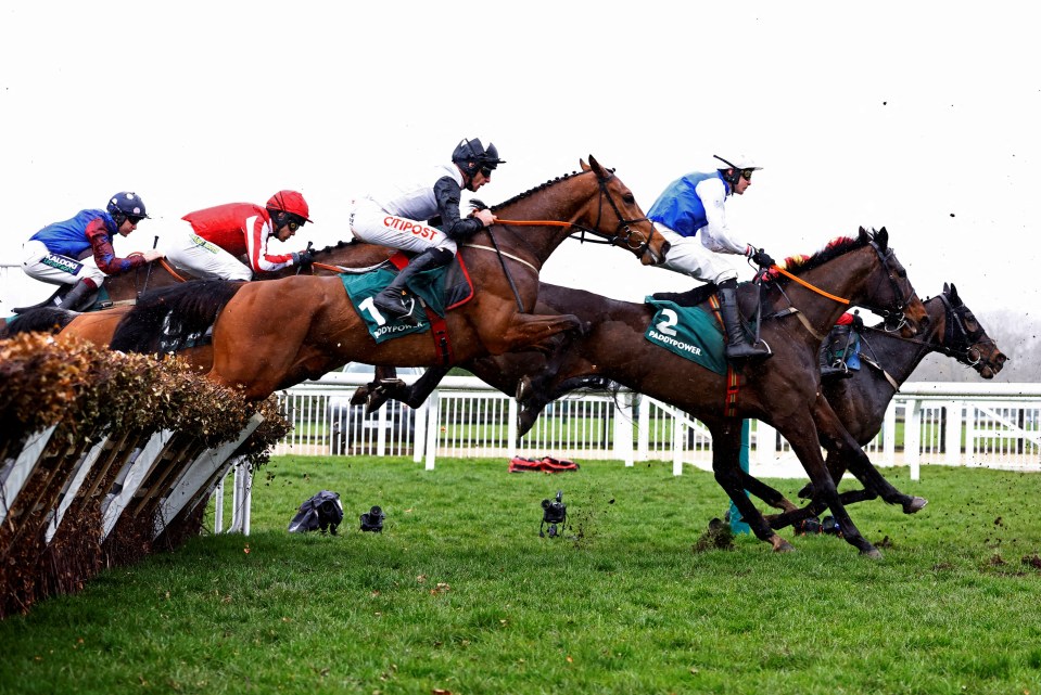 There is nothing like Cheltenham Festival - and you could be there in 2024