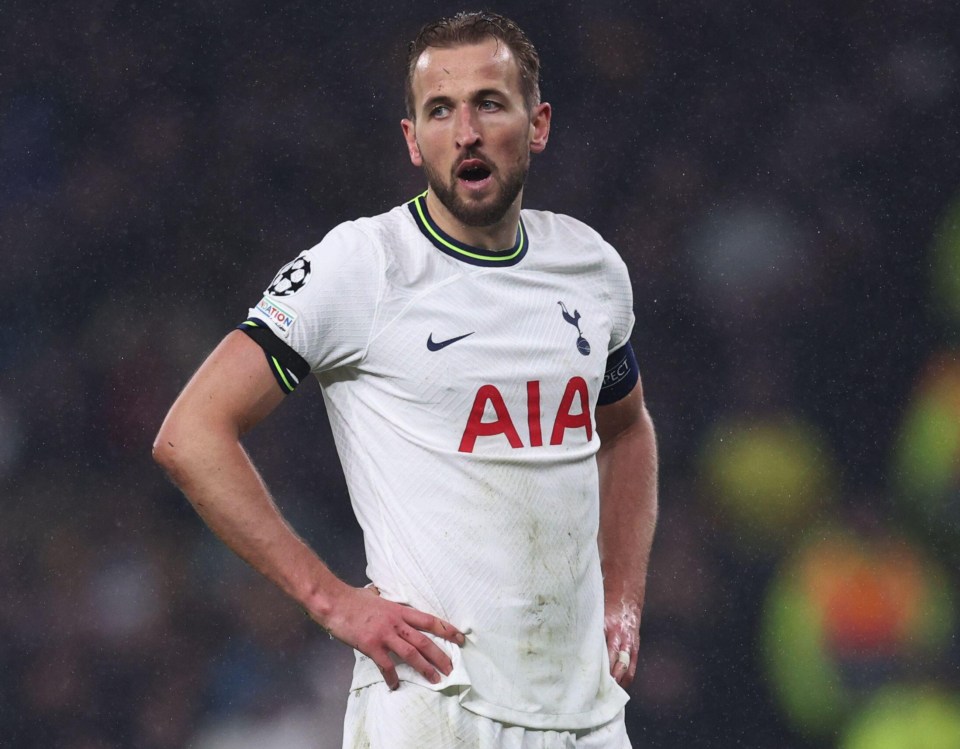 Harry Kane could be set to leave boyhood club Tottenham this summer