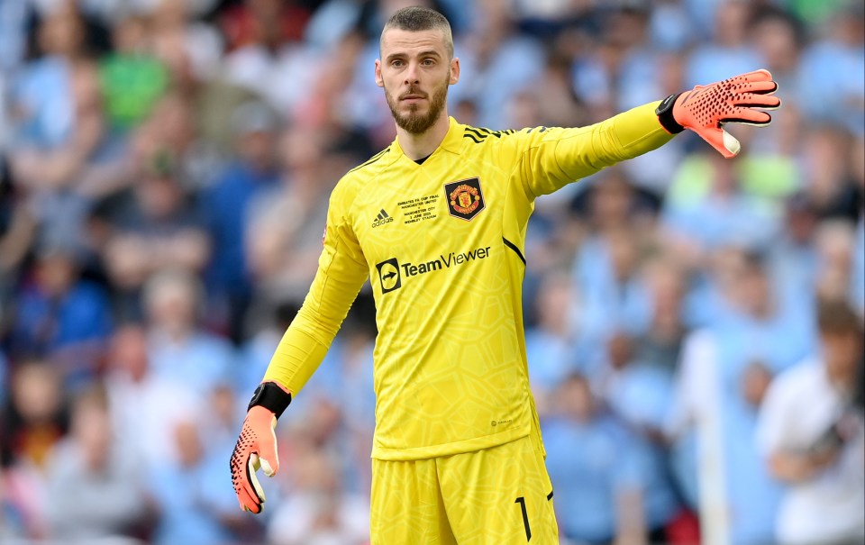 David de Gea is out of contract with Manchester United this summer