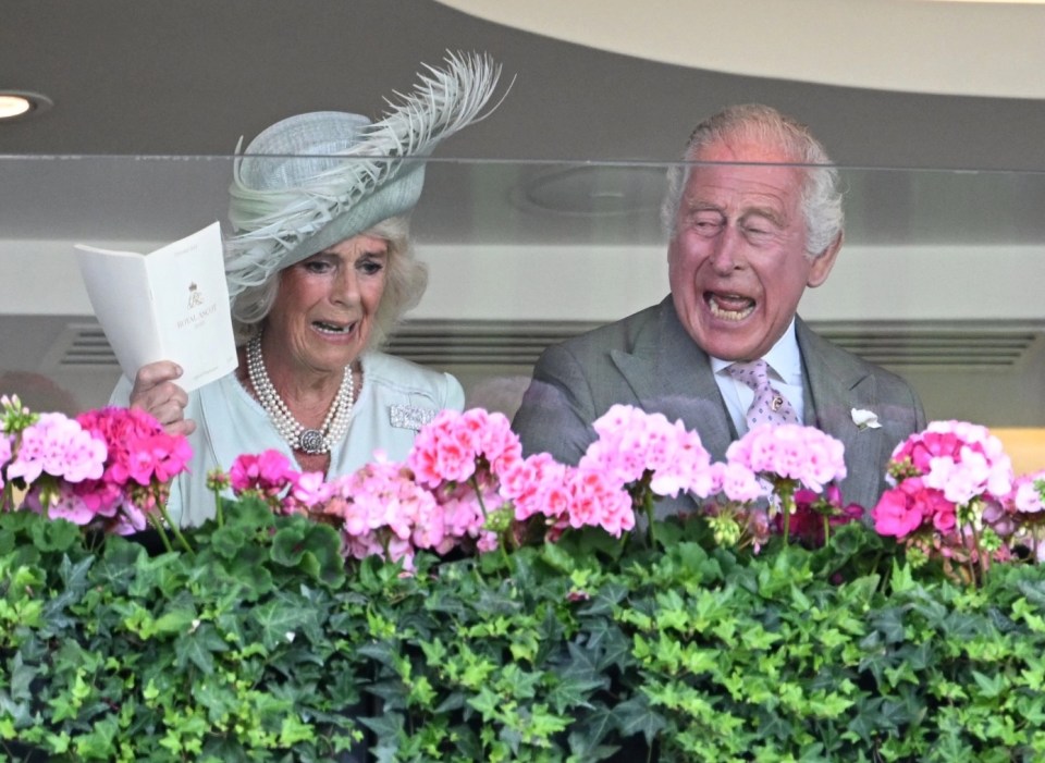 Charles and Camilla go wild celebrating their first Royal Ascot winner, worth a cool £50,000