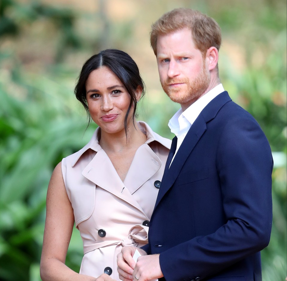 Harry and Meghan are believed to have been paid only half of their reported £81million Netflix contract and need some new TV ideas to keep the cash flowing