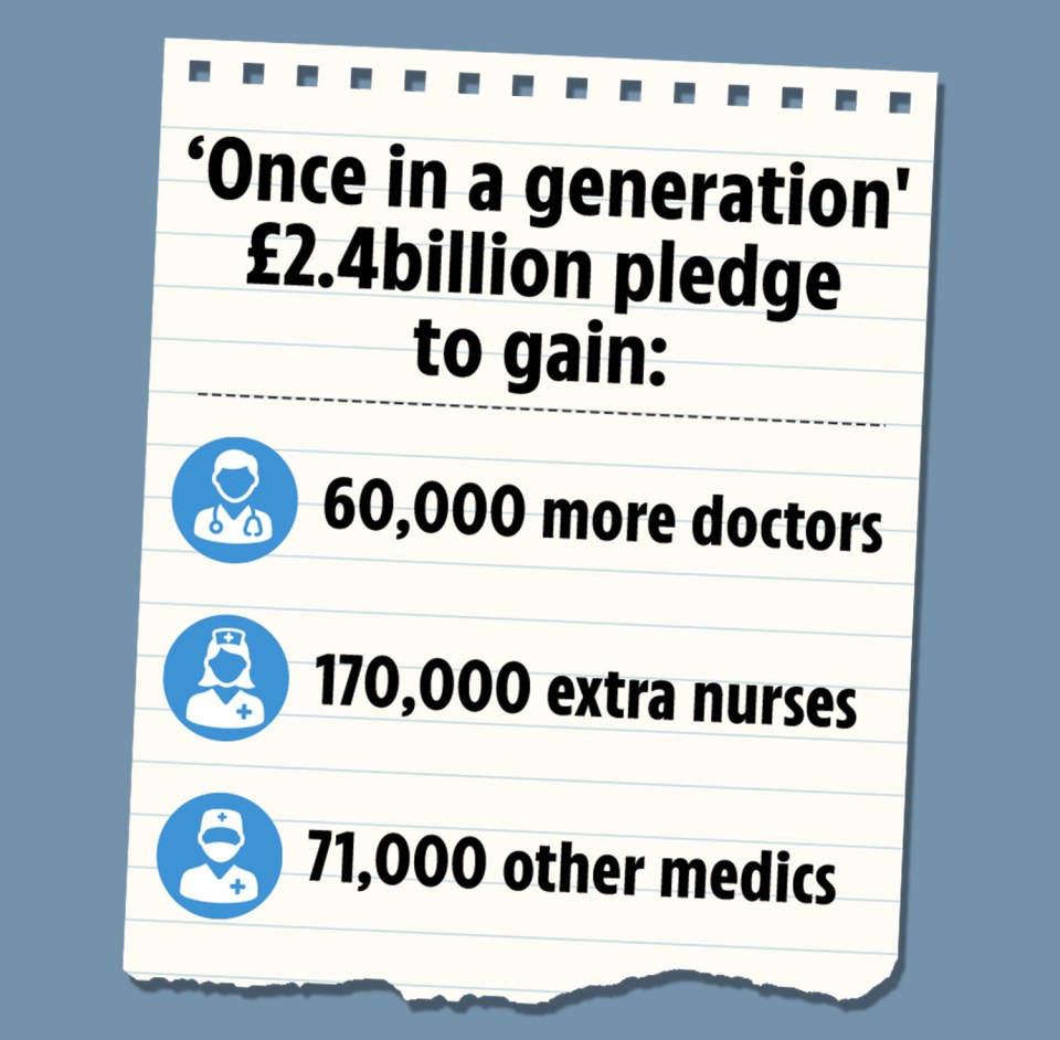 The PM's major NHS plan at a glance