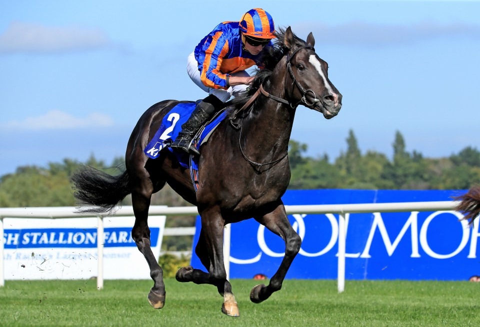 Auguste Rodin will go off favourite for the Derby