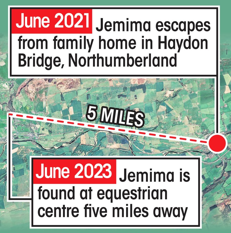 Jemima was found at an equestrian centre more used to seeing horses than tortoises