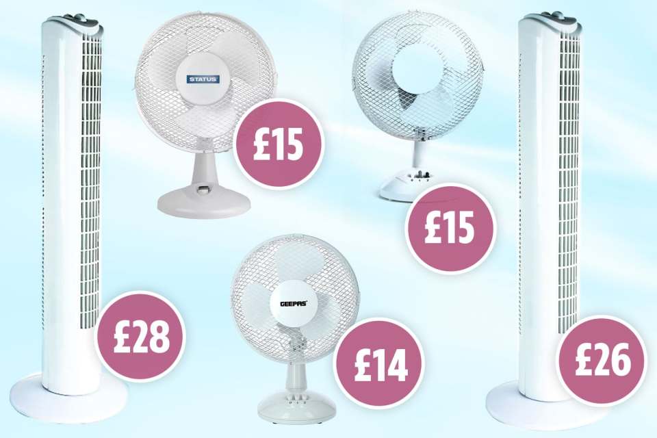 We've rounded up some of the cheapest fans on shelves this week